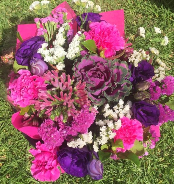 Fuscia Fantastic