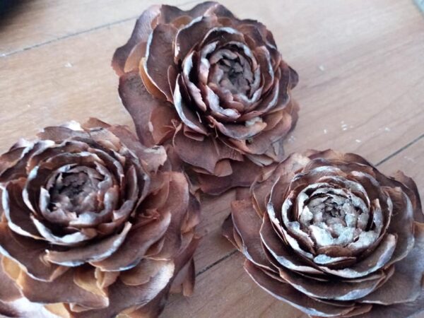Dried Flower Bar