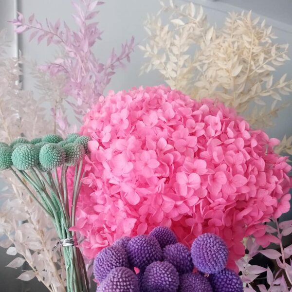 Dried Flower Bar