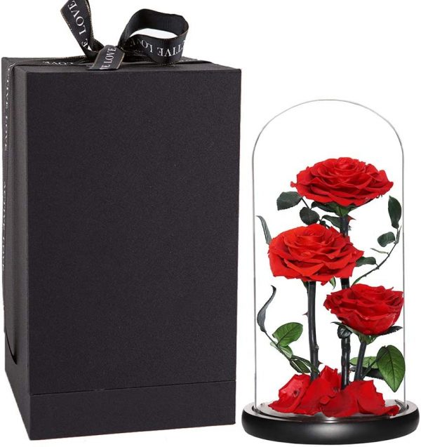 Everlasting Red Rose