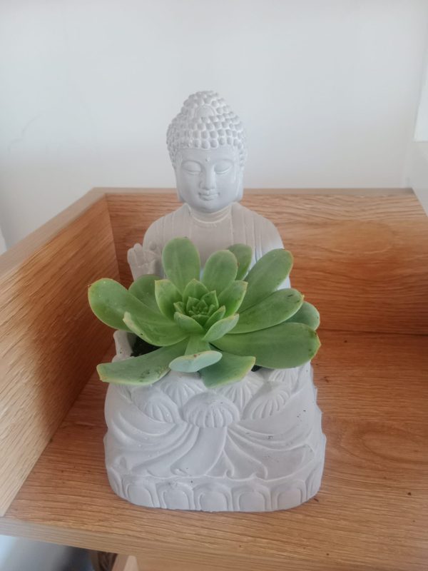 Peaceful Buddah