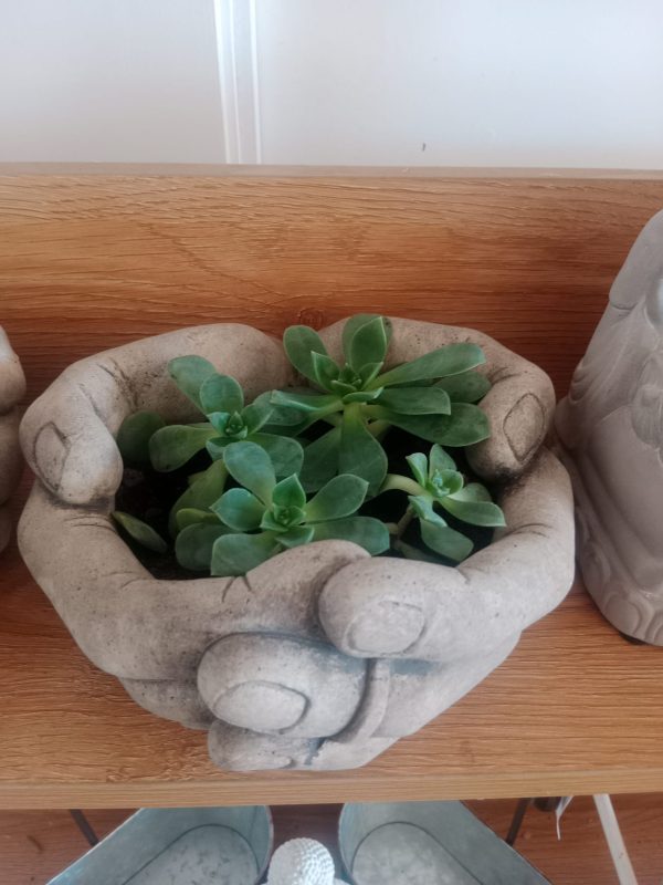 Healing Hands Reiki