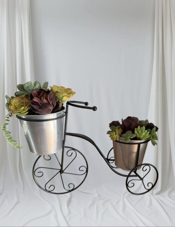 Succulent Tricycle - Image 2