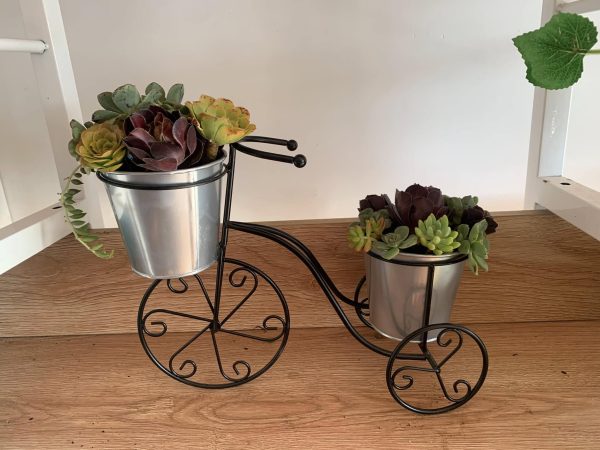 Succulent Tricycle