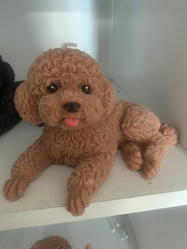 Puppy Capoodle Fragranced Candles