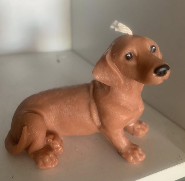 Puppy Dachshund Fragranced Candle