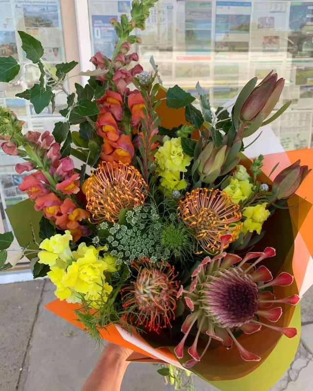 Proteas for Days xxwww.moamaflorist.com.au
www.echucaflorist.com.au